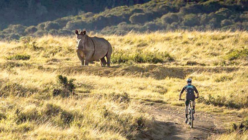 Jamie Rides For Rhinos at the Kariega Game Reserve!