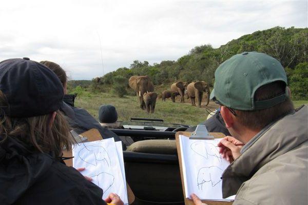 Elephant Impact Monitoring at the Kariega Conservation Project