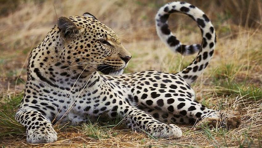 Namibia Wildlife Sanctuary - What Will You Be Doing?