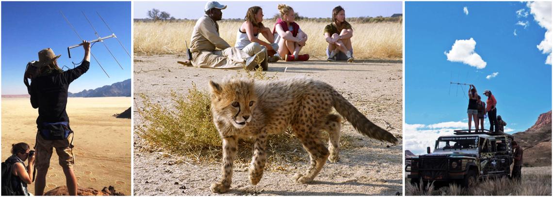 Namibia Wildlife Sanctuary