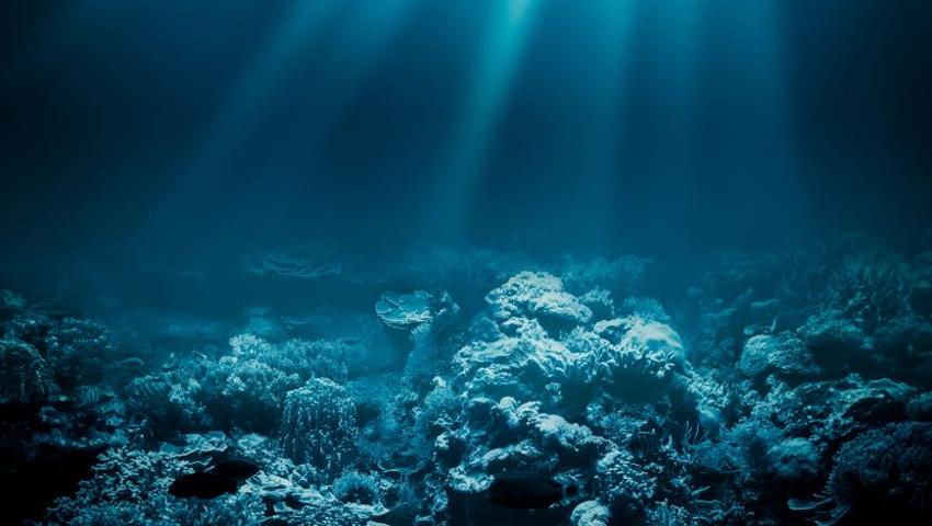 World  Oceans Day 2017 - The Story Behind The Spectacular Universe That Resides Beneath The Waves 