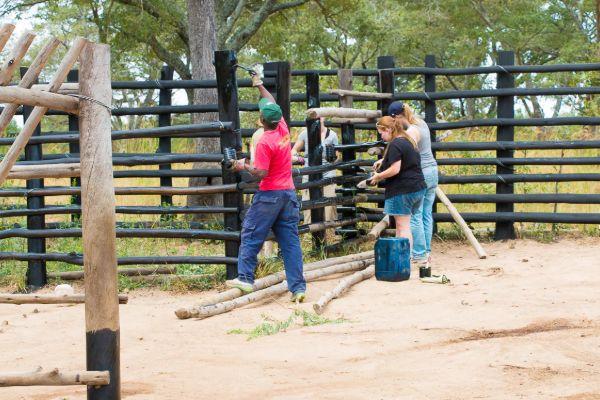 Painting a Fence on the Rhino and Elephant Conservation Project