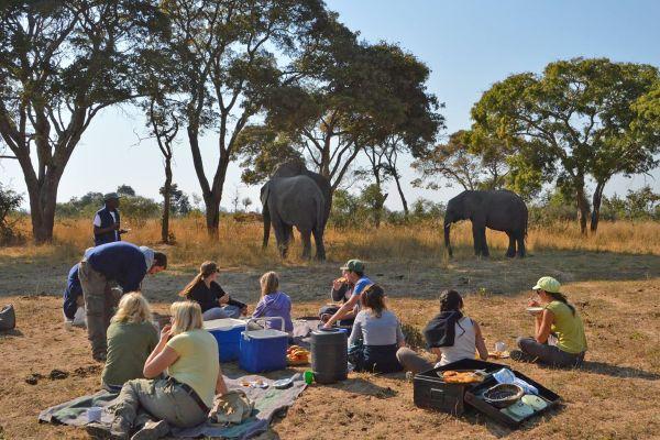 Volunteers Eating Breakfast with Elephants