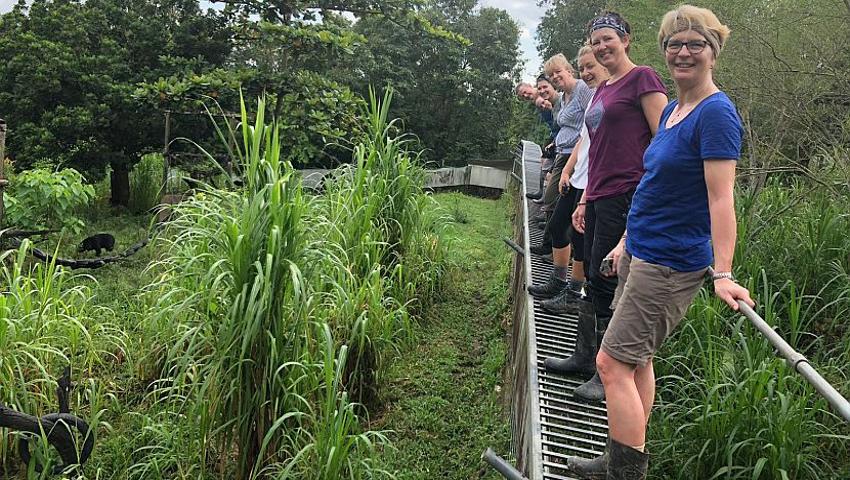 'Being so close and observing these beautiful creatures is truly magnificent...I felt privileged' - read Tanya's review of Samboja Lestari!