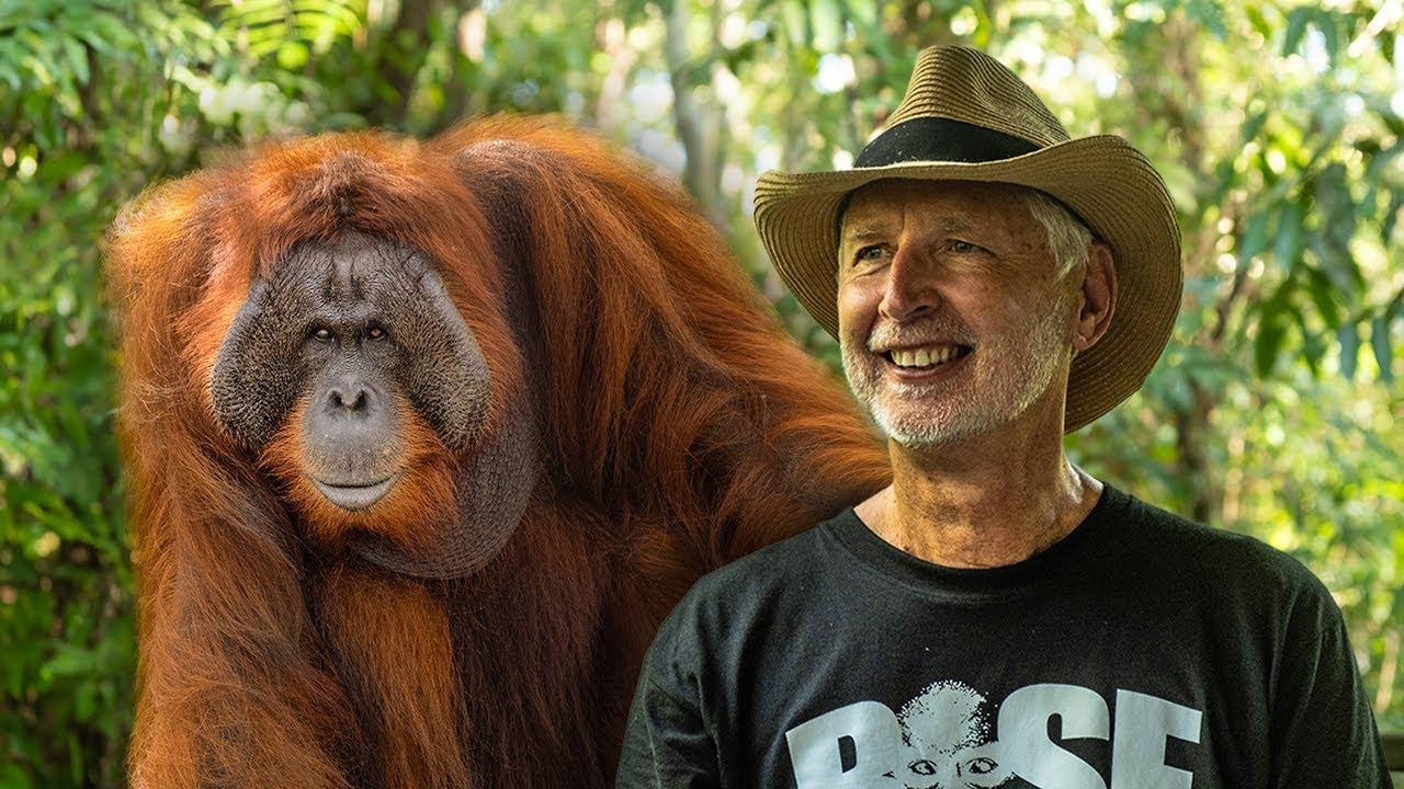Nyaru Menteng Orangutan Sanctuary - Volunteer Reviews 2024