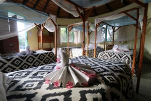 Bedroom at the Wildlife Orphanage in South Africa