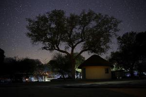 Accommodation at Night at the Wildlife Orphanage in South Africa
