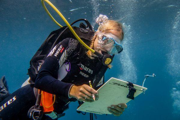Data Gathering Dive at the Raja Ampat Diving Project