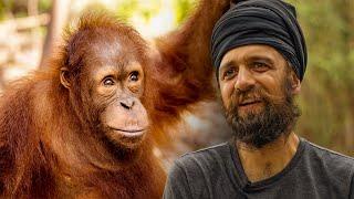 Nyaru Menteng Orangutan Sanctuary - Reviews 2019