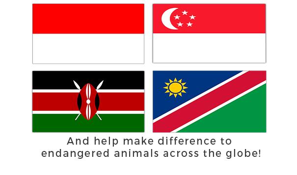 Volunteer Abroad with Animals | The Great Projects