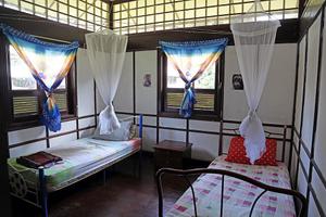 Twin Room at The Great Orangutan Project