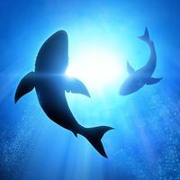 Shark Awareness Day 2018 - An Animal To Be Revered, Not Feared