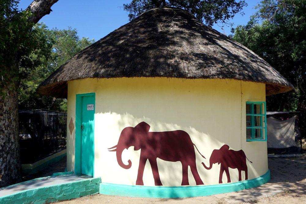 Accommodation at the Wildlife Orphanage in South Africa