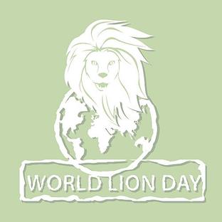 World Lion Day 2016 - Only 20,000 Remaining! 