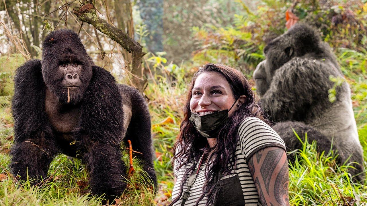 The Great Gorilla Project - Volunteer Reviews