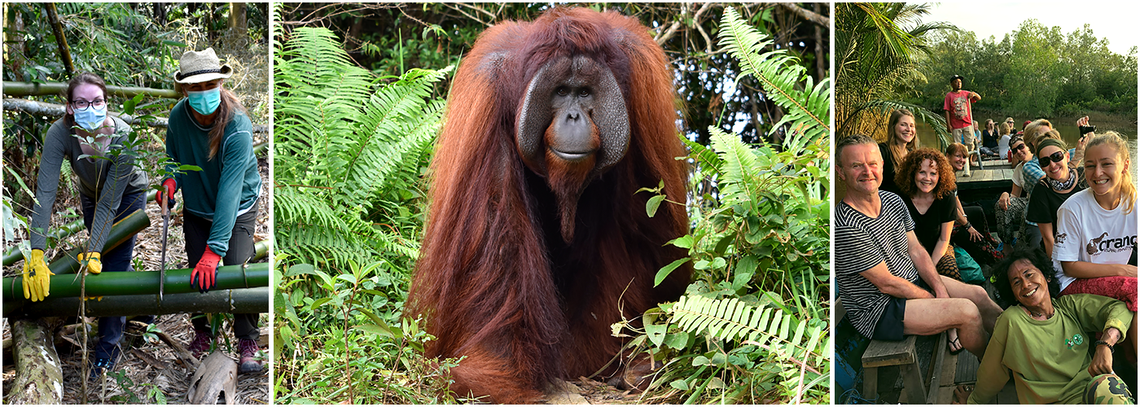 Samboja Lestari Orangutan Volunteering 