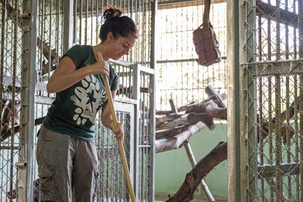 Volunteers Cleaning Enclusres at the Laos Wildlife Sanctuary