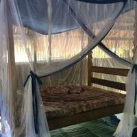 Accommodation on the Mafia Island Whale Shark Conservation Project