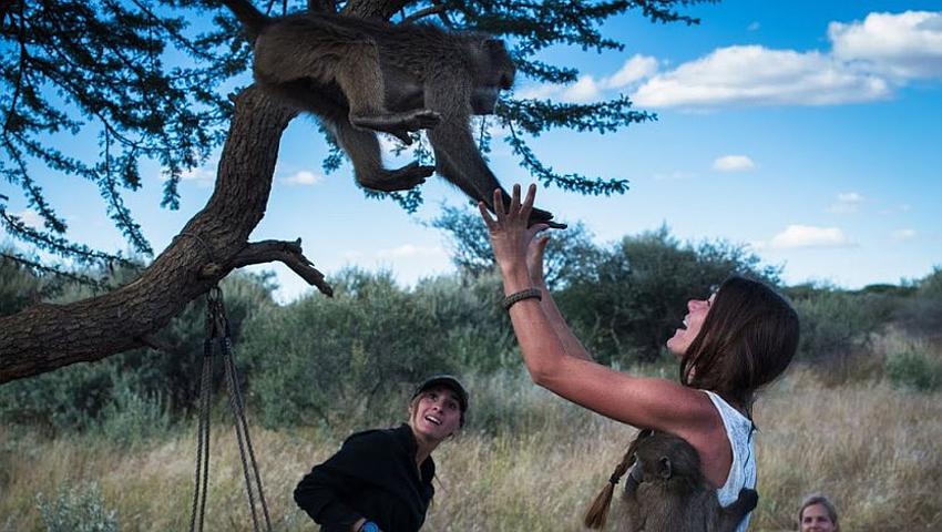 How Volunteering With Animals In Namibia Will Change Your Life!