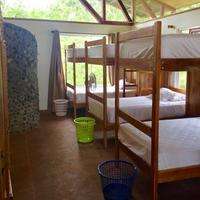 Accommodation at the Sloth Conservation and Wildlife Experience