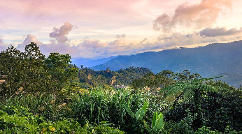Top 8 Don’t Miss Spots in Malaysian Borneo