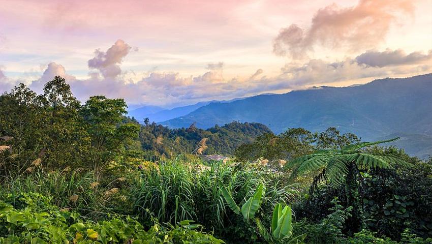 Top 8 Don’t Miss Spots in Malaysian Borneo