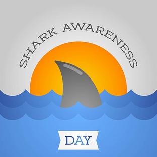 Shark Awareness Day 2017 - 50 Million Sharks Are Caught In Nets Every Year!