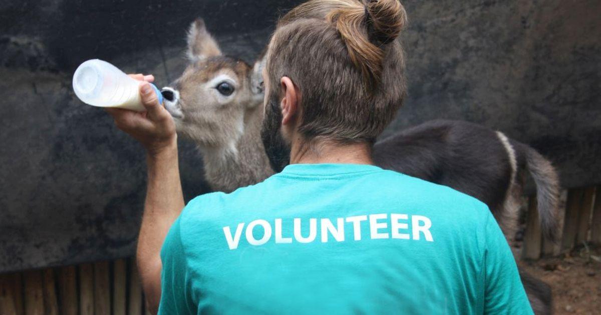 Wildlife Orphanage in South Africa The Great Projects