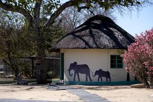 Accommodation at the Wildlife Orphanage in South Africa