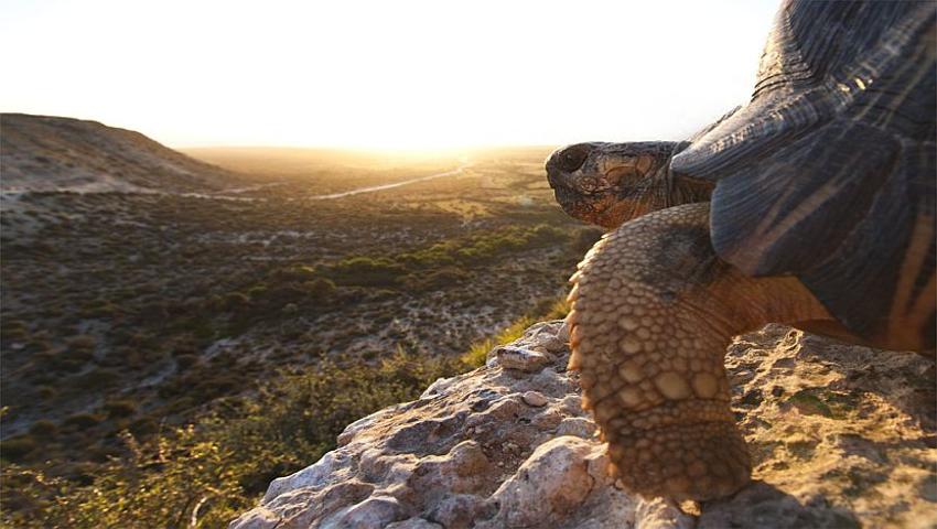 Interview With Travel Adventurer Aaron Gekoski!
