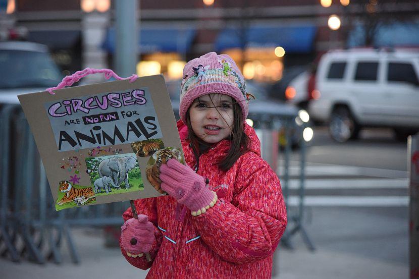 New York Circus Protest