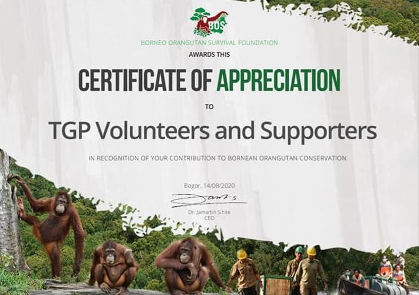 The Great Projects Certificate of Appreciation