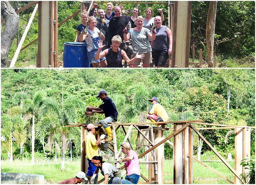 volunteer with endangered orangutans in borneo 