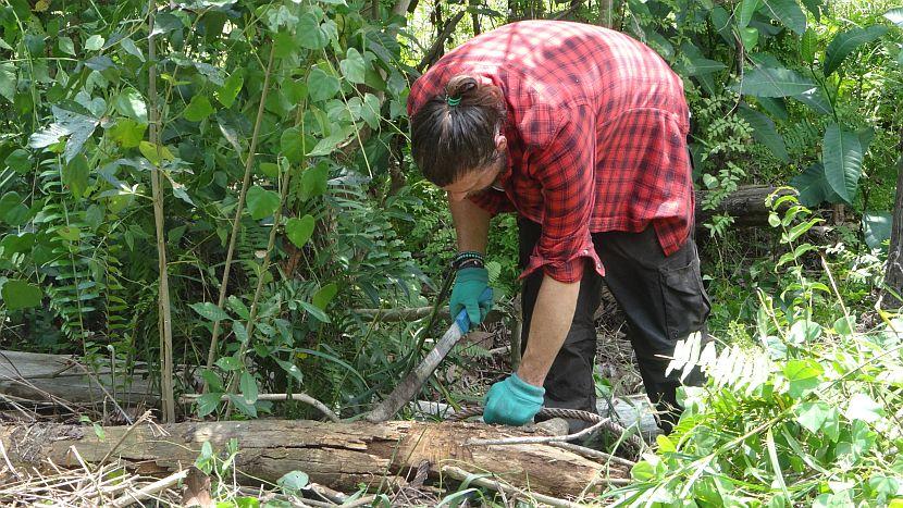 Borneo Forest Work