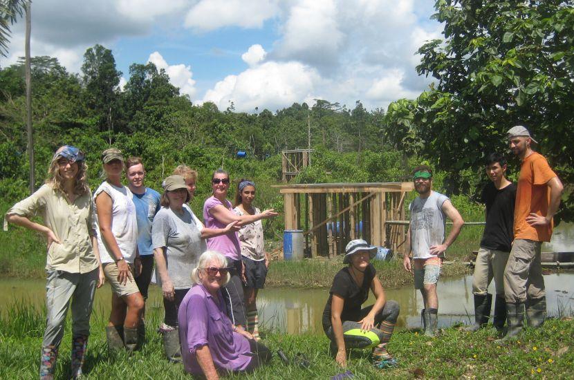 Volunteers on the Samboja Lestari Orangutan Volunteer Project