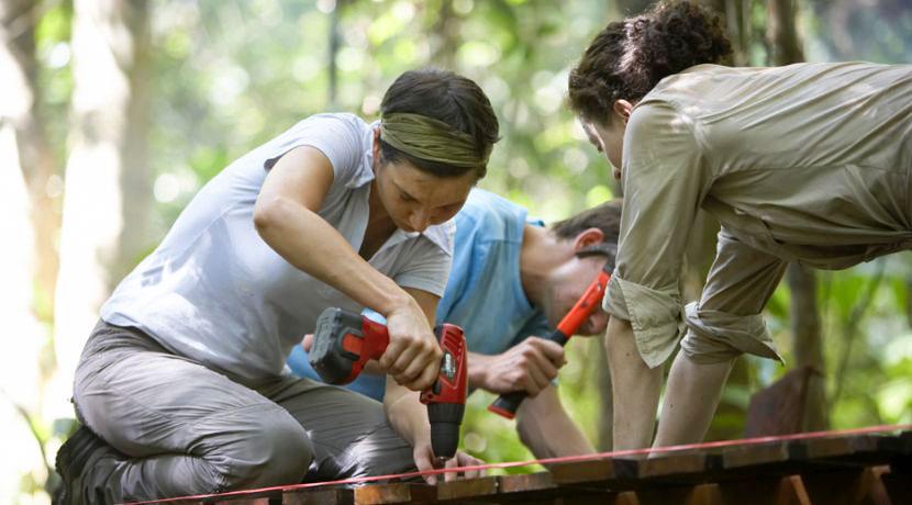 Volunteer Construction Work The Great Orangutan Project