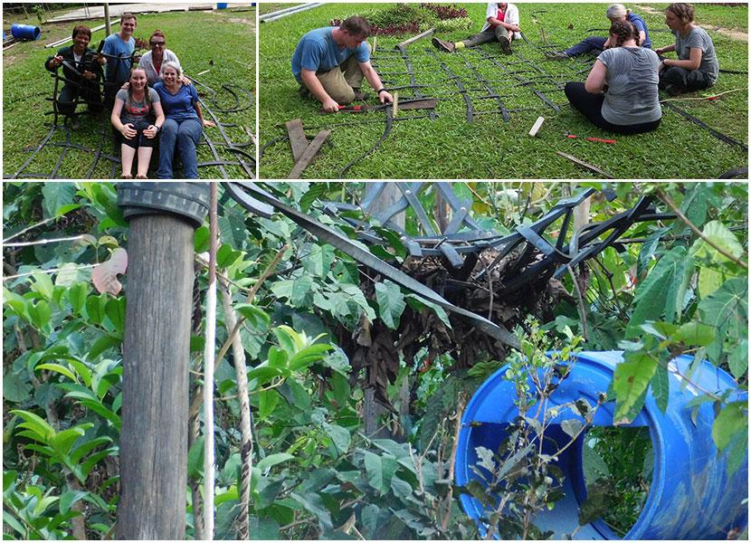 volunteer abroad with endangered orangutans in borneo 