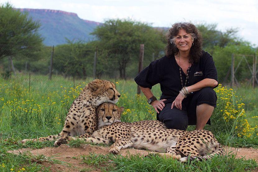 Wild Lives Cheetah