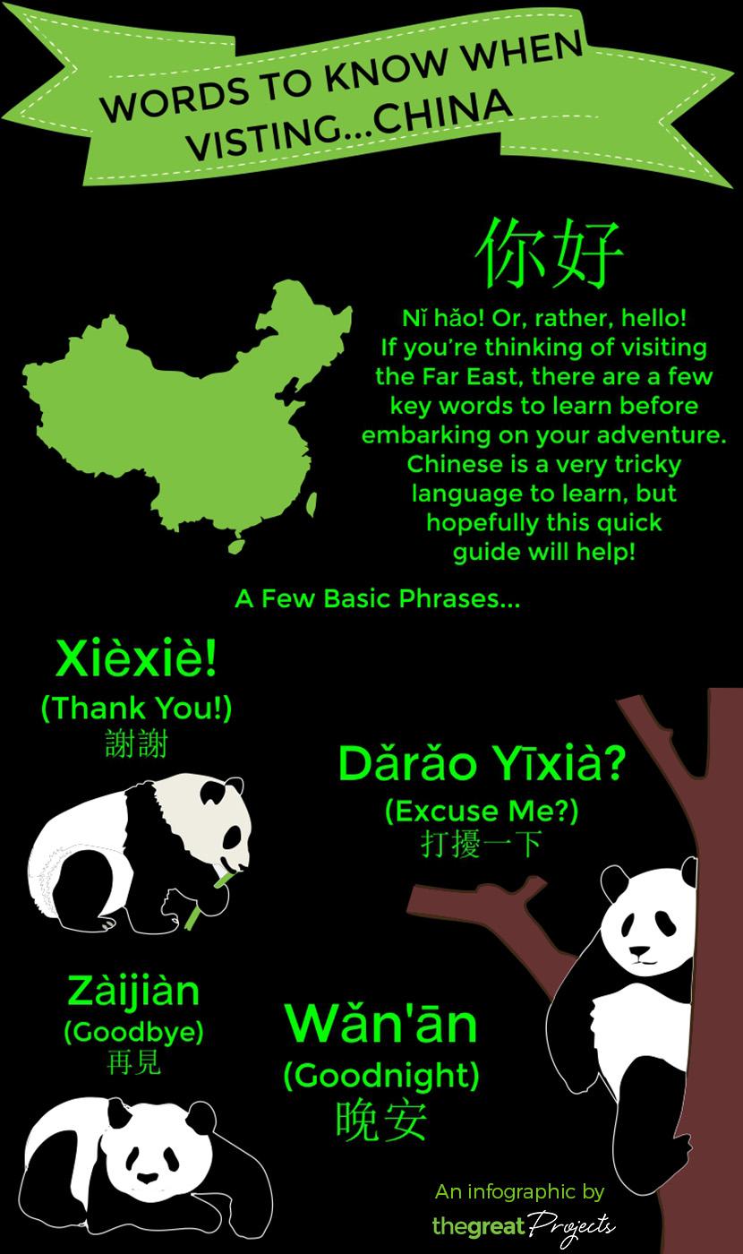 Chinese Language Infographic