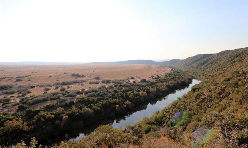 Shamwari Conservation Experience South Africa
