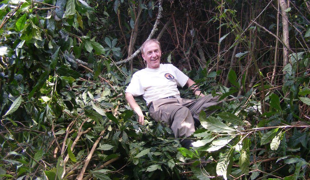 Volunteer Frank in Gorilla Night Nest