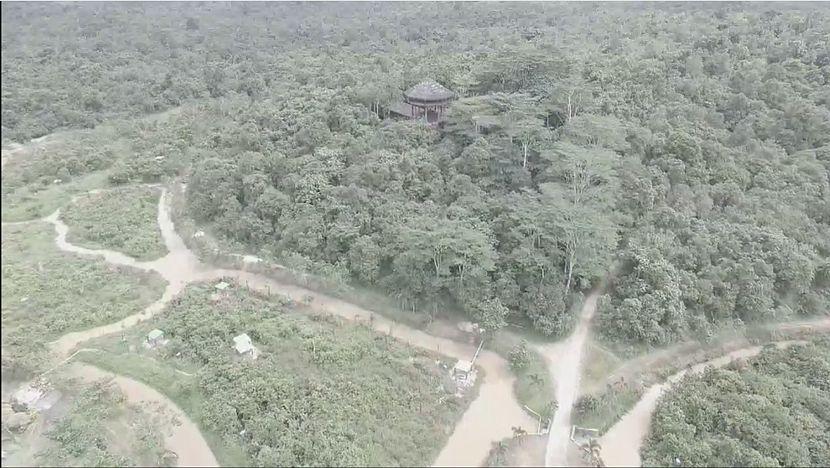 Drone Over Borneo