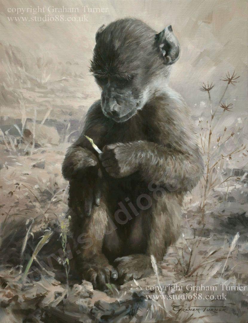 painting of a baby baboon