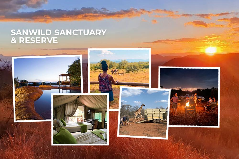 SanWild Sanctuary & Reserve - The Great Projects
