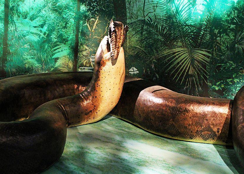 Scary Animals That Are Now Extinct | The Great Projects Scary Animals That Are Now Extinct | The Great Projects