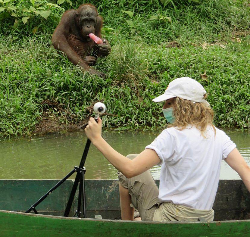 Orangutan enrichment