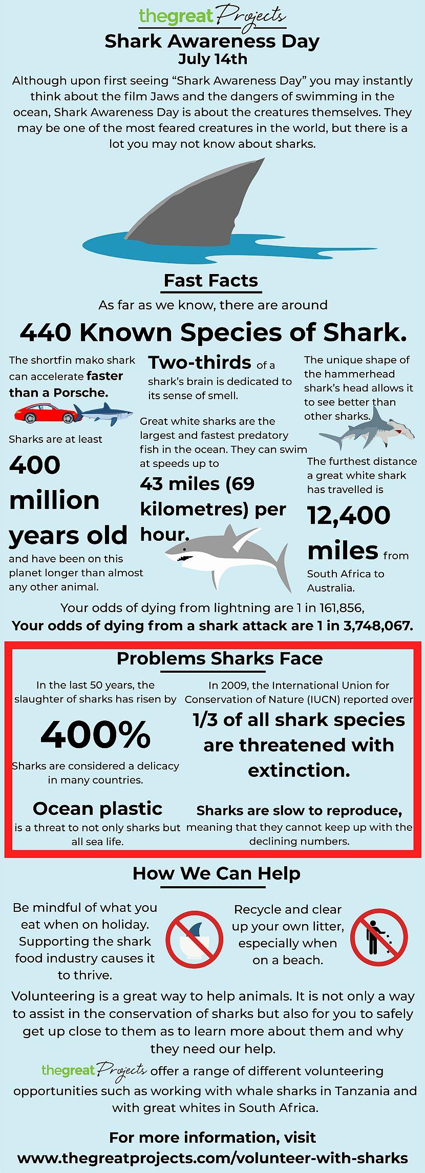 Shark Awareness Day infographic