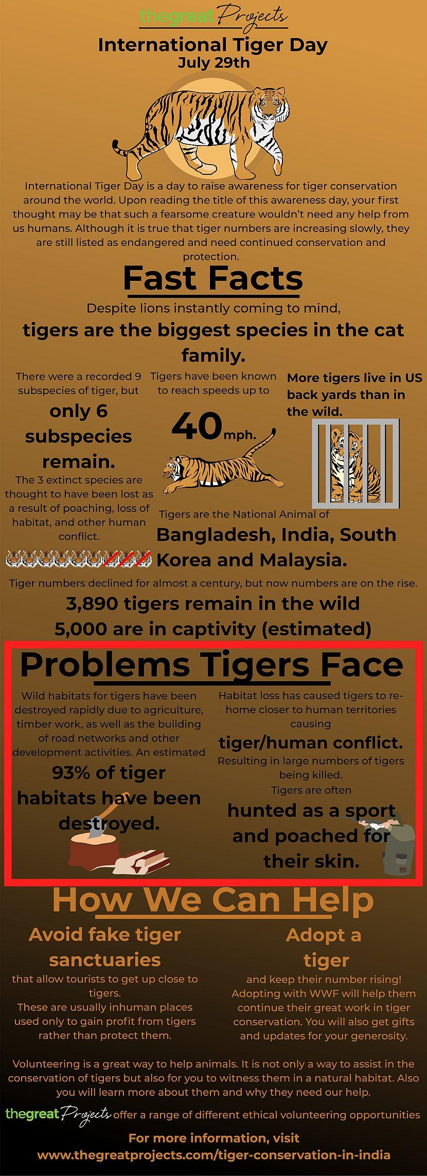 International Tiger Day infographic