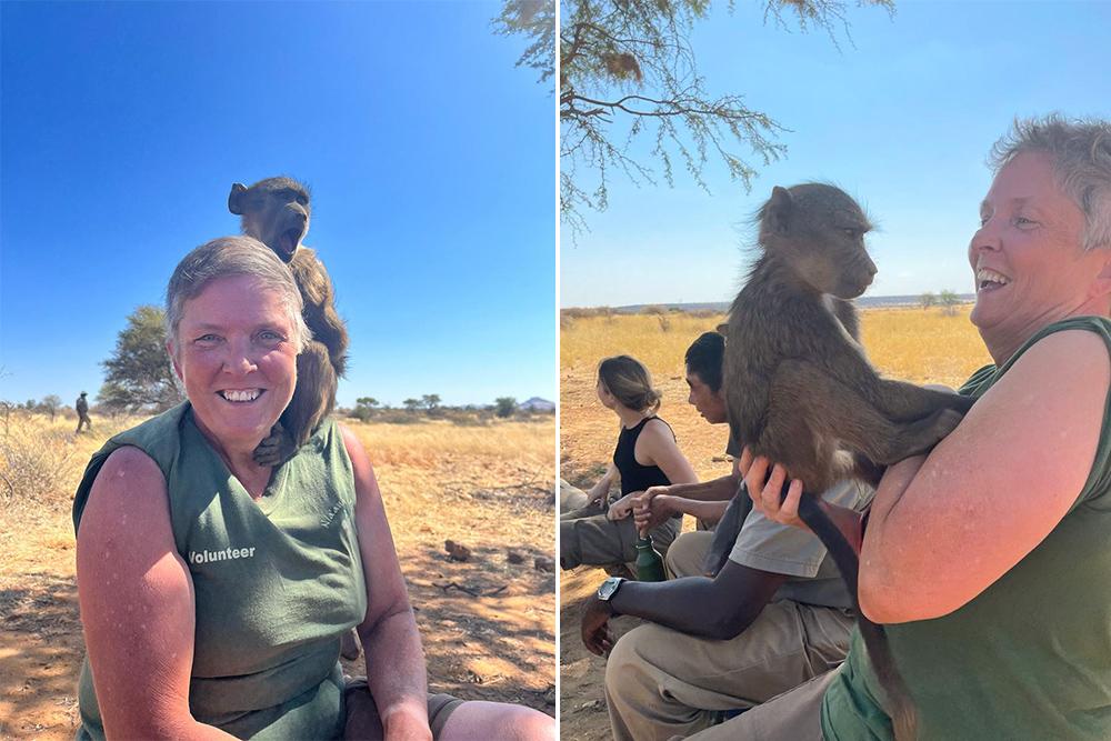 Baboons With Volunteers