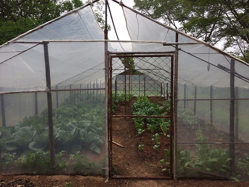 Volunteer Built Eco-Greenhouse